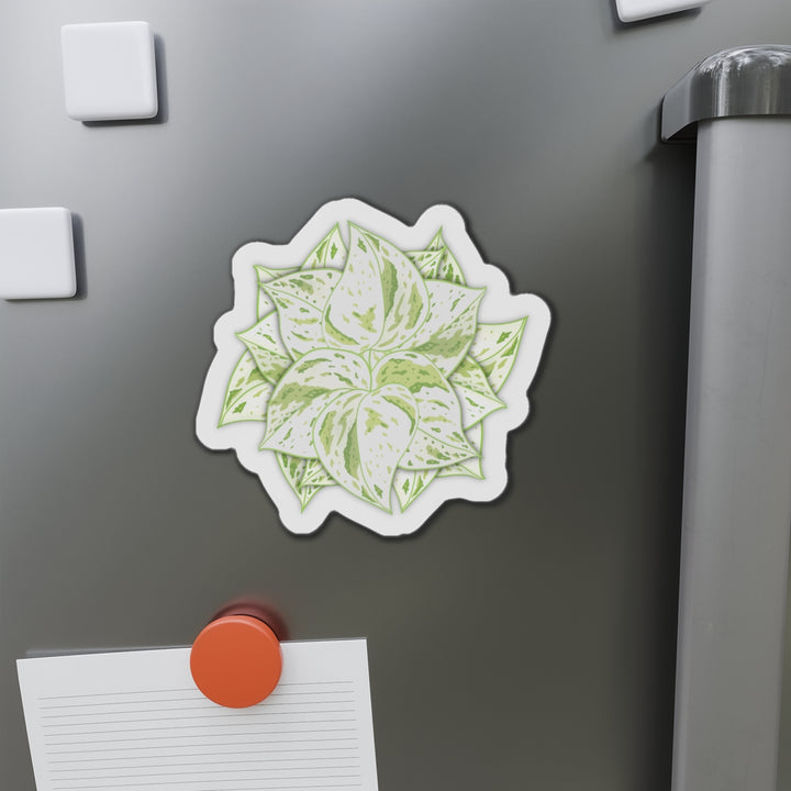 Snow Queen Pothos Magnet