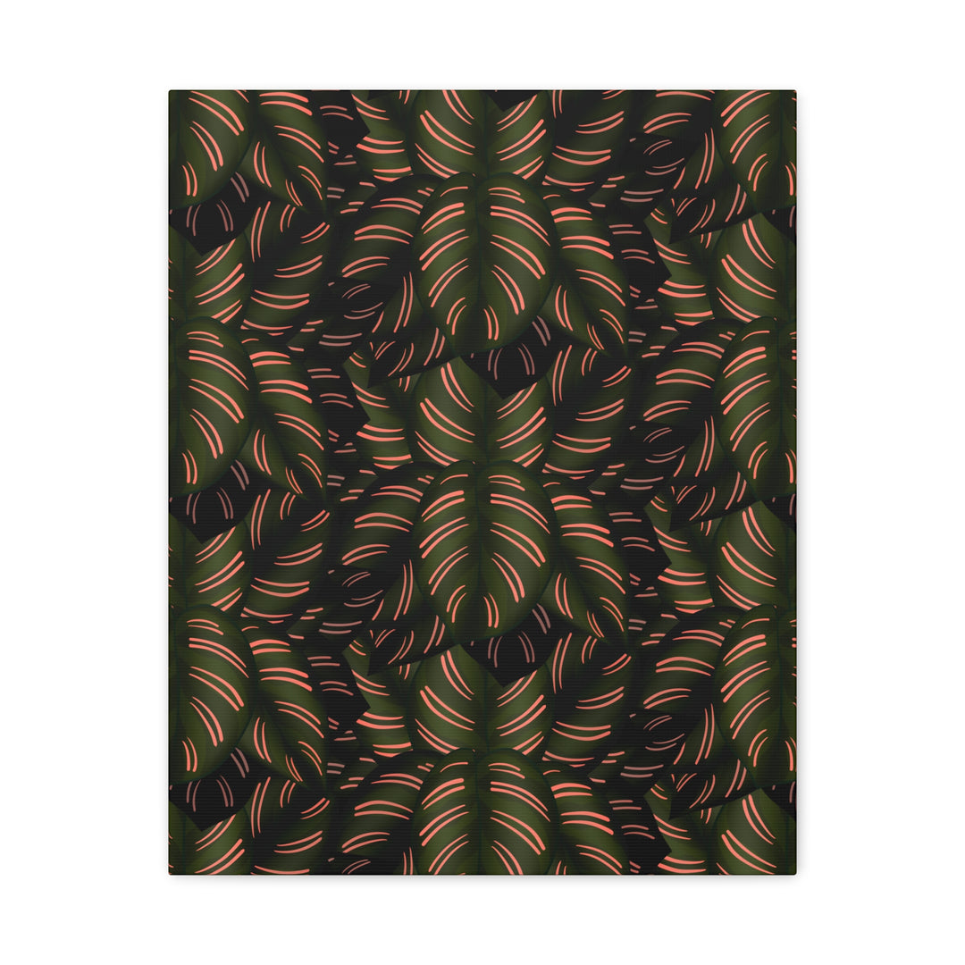 Calathea Pinstripe Canvas Print With Matte Finish Stretched Botanical Wall Art For Living Room Decor