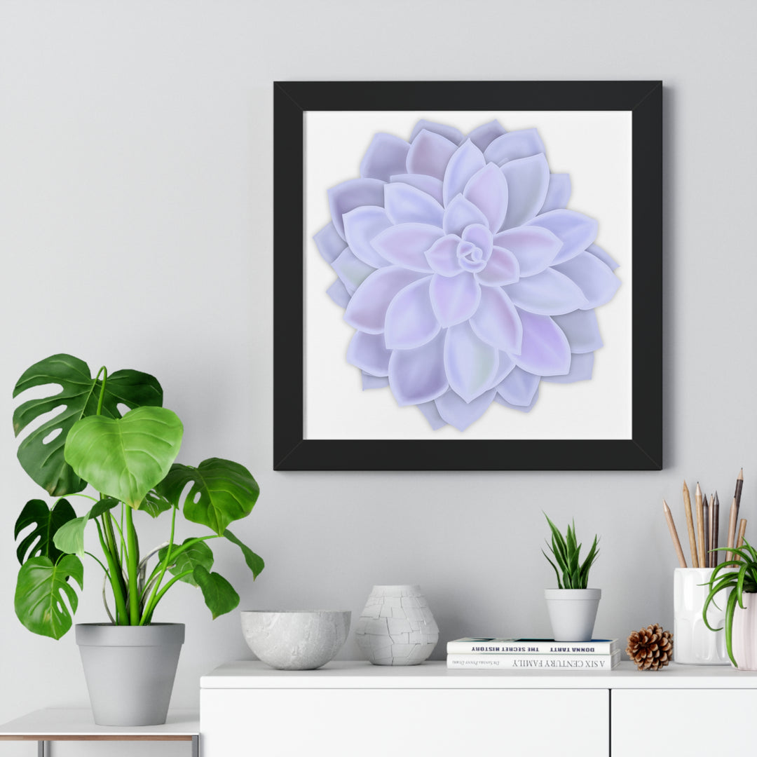 Graptopetalum Murasaki Succulent Framed Print – Botanical Wall Art - The Potted Pixel