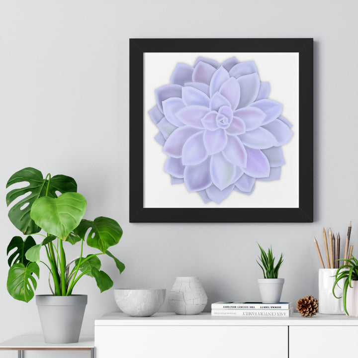 Graptopetalum Murasaki Succulent Framed Print – Botanical Wall Art - The Potted Pixel