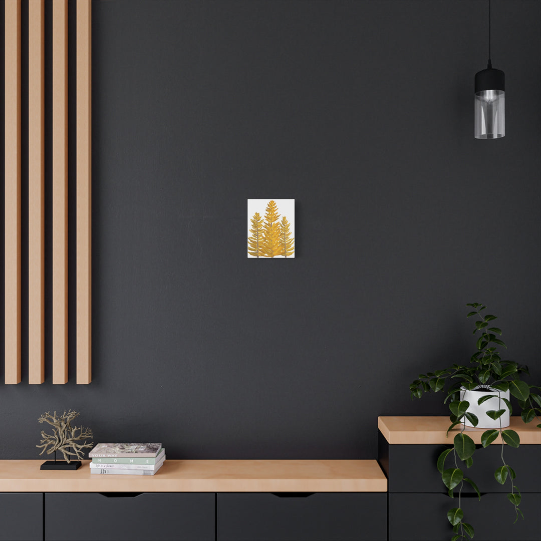 Western Larch Canvas Print – Wall Art