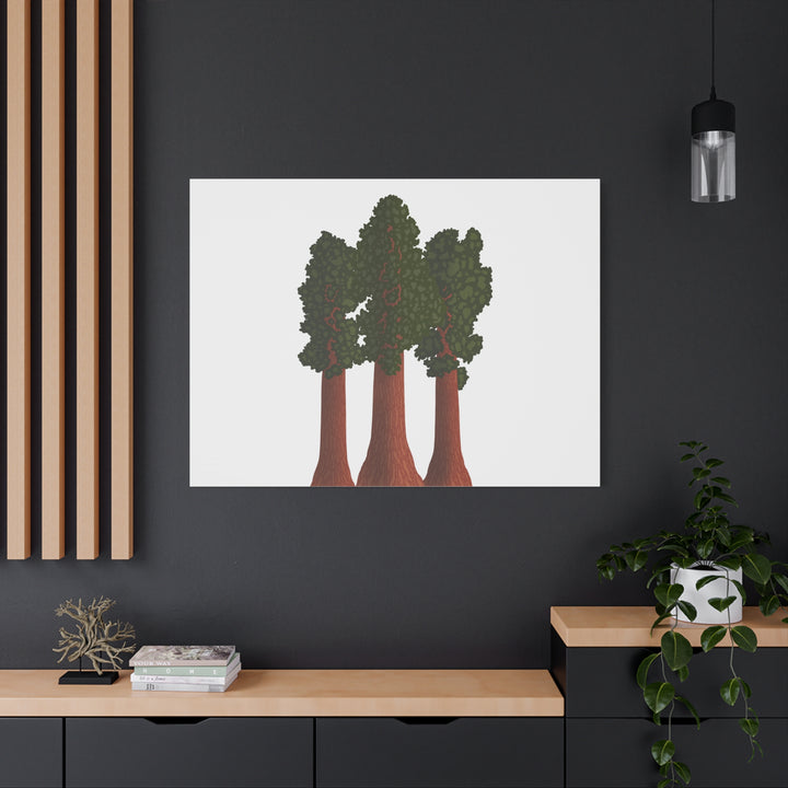Giant Sequoias Canvas Print – Wall Art