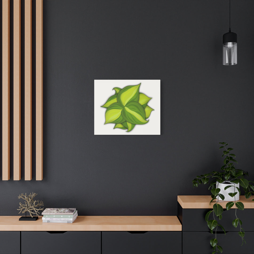 Philodendron Brasil Canvas Print Matte Stretched Canvas Indoor Plant Art For Modern Greenery Decor
