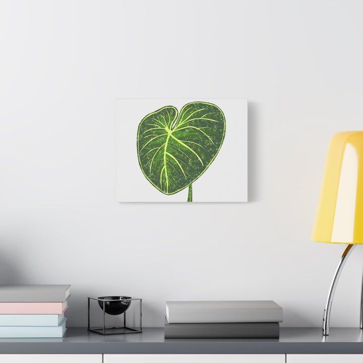Philodendron Gloriosum Canvas Print Stretched Wall Art Botanical Leaf Print Matte Finish Gallery Wrapped Canvas