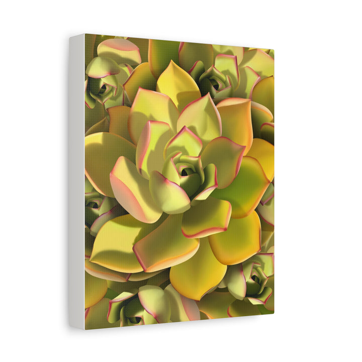 Succulent Canvas Art Vibrant Aeonium Print On Matte Canvas Wall Decor 12x18 Inches Indoor Home