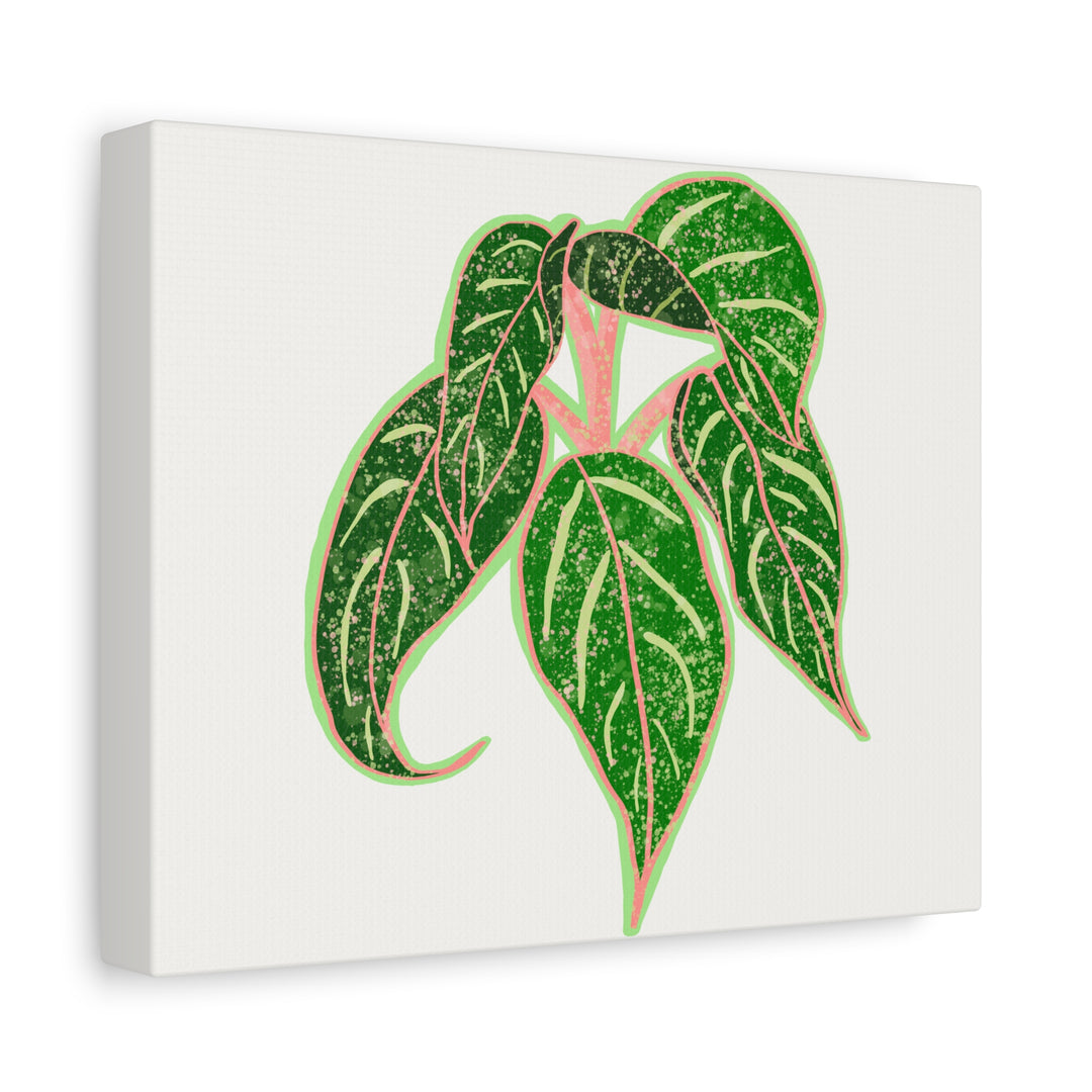 Aglaonema Sparkling Sarah Botanical Canvas Print On Matte Stretch Canvas For Modern Living Room Decor