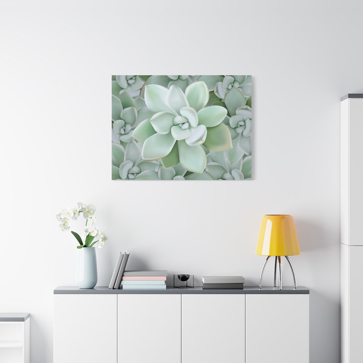 Pachyveria Haagei Succulent Pattern Canvas Art for Modern Home Decor 16x20 Matte Print