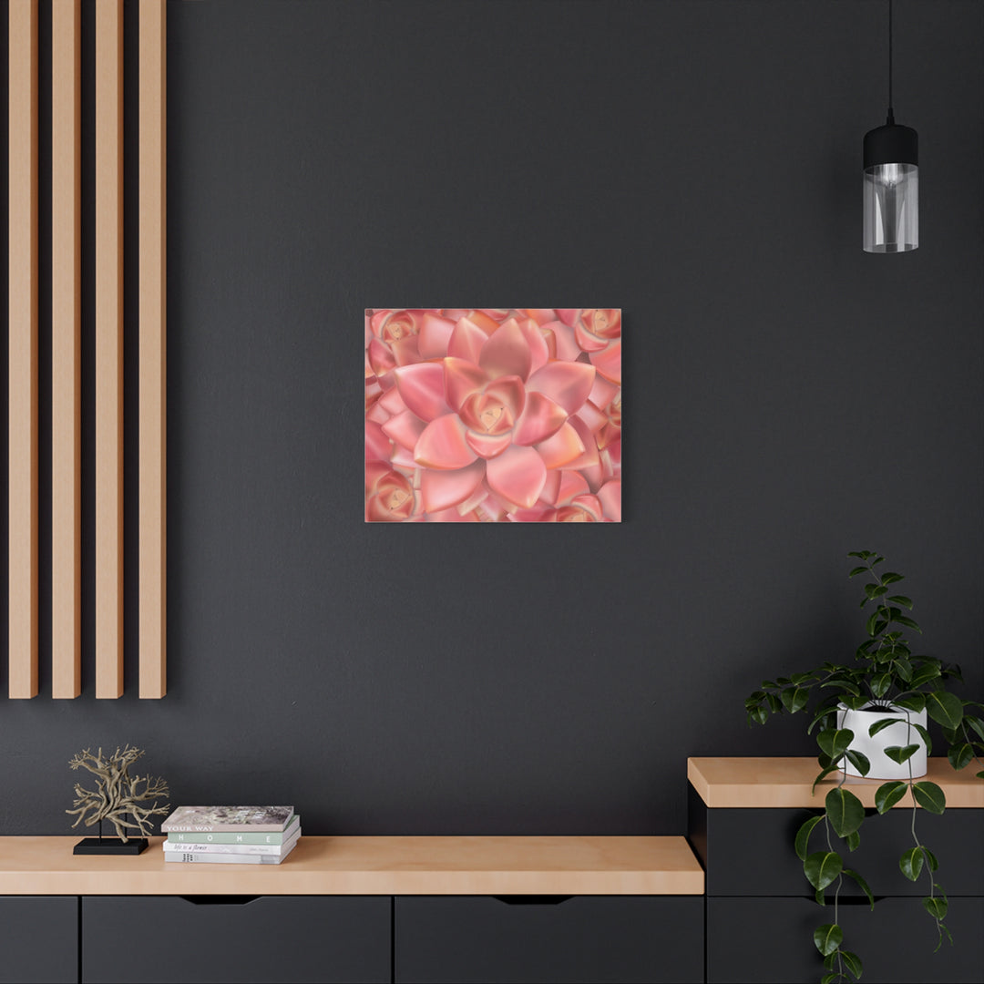 Graptosedum California Sunset Succulent Canvas Print – Botanical Wall Art - The Potted Pixel