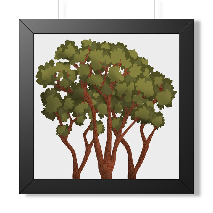 Pacific Madrone Framed Print – Wall Art