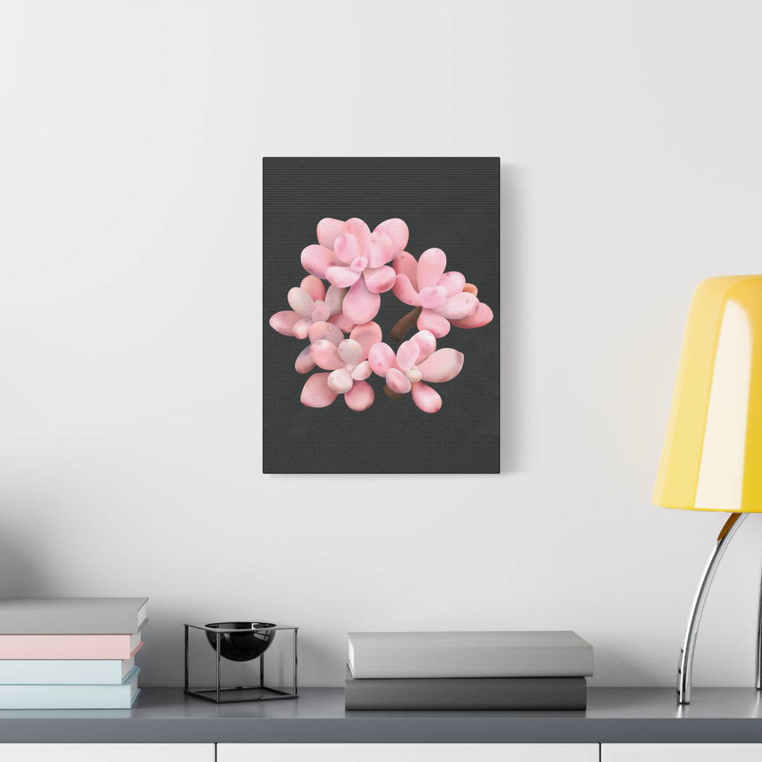 Pink Moonstone Canvas Print – Botanical Wall Art
