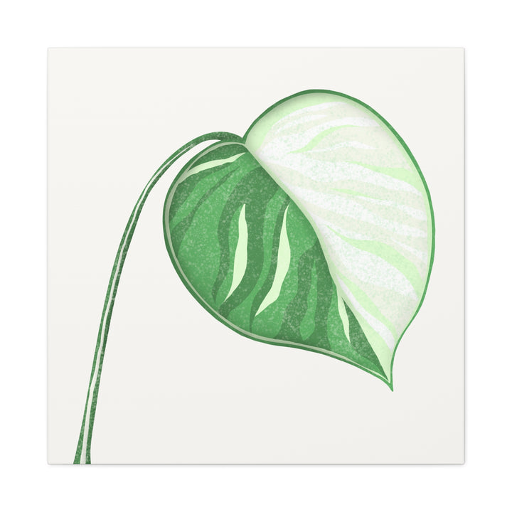 Monstera Albo Canvas Large Stretched Premium Quality Cotton Canvas Wall Art Tropical Leaf Poster Decor