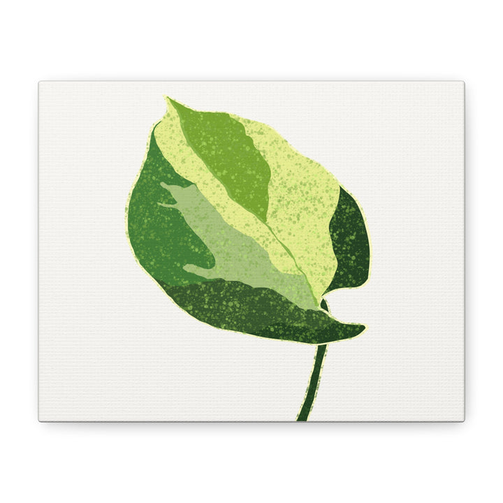 Manjula Pothos Botanical Canvas Print Matte Finish Stretched Canvas Wall Art 1.25 Inch Depth