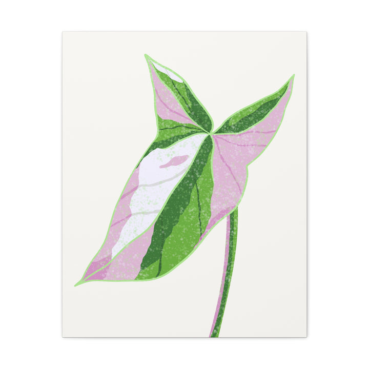 Syngonium Tricolor Canvas Print – Botanical Wall Art - The Potted Pixel