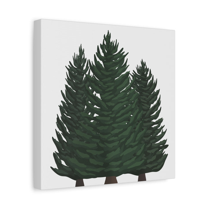 Douglas Fir Canvas Print – Wall Art