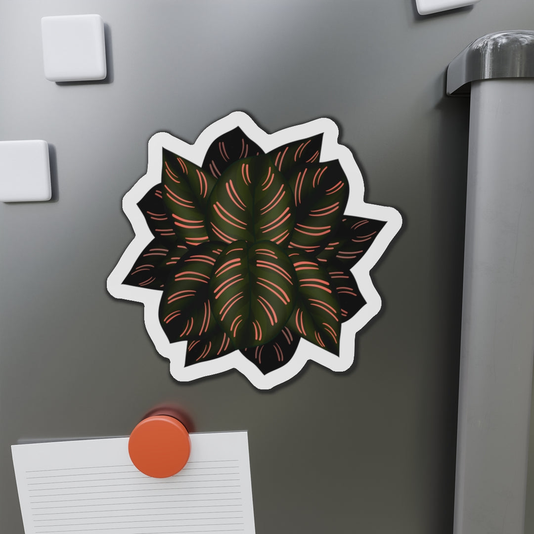Calathea Pinstripe Magnet