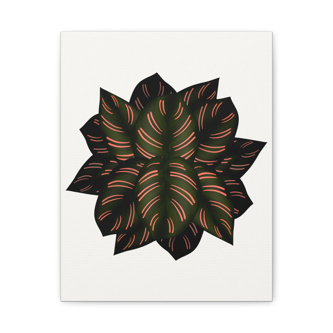Calathea Pinstripe Canvas Botanical Wall Art Print On Stretched Cotton Canvas For Living Room Decor
