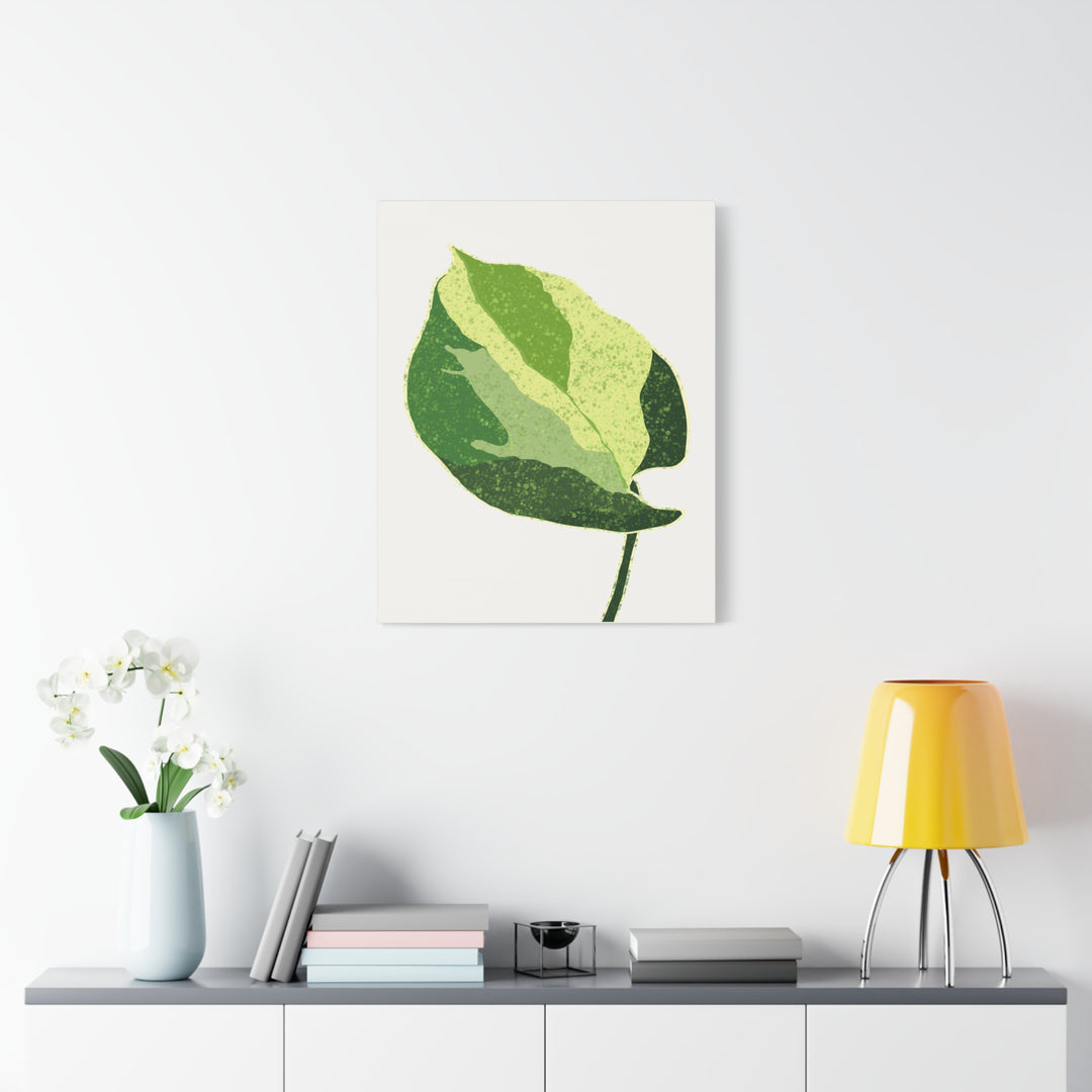 Manjula Pothos Botanical Canvas Print Matte Finish Stretched Canvas Wall Art 1.25 Inch Depth
