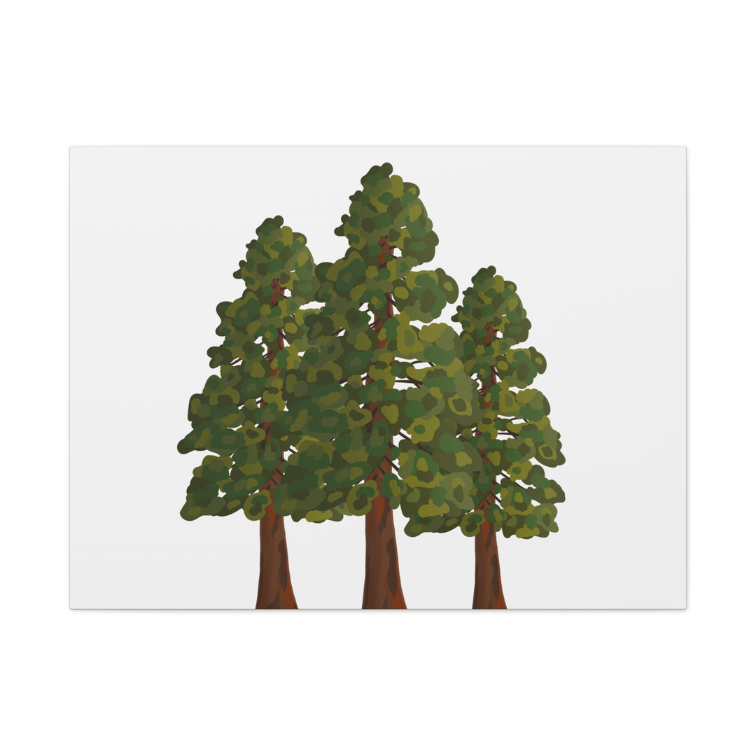Coastal Redwoods Matte Canvas Print On 1.25 Inch Stretched Canvas For Serene Forest Wall Art In Living Rooms