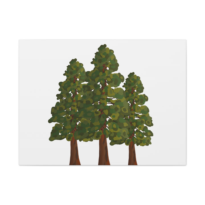 Coastal Redwoods Matte Canvas Print On 1.25 Inch Stretched Canvas For Serene Forest Wall Art In Living Rooms
