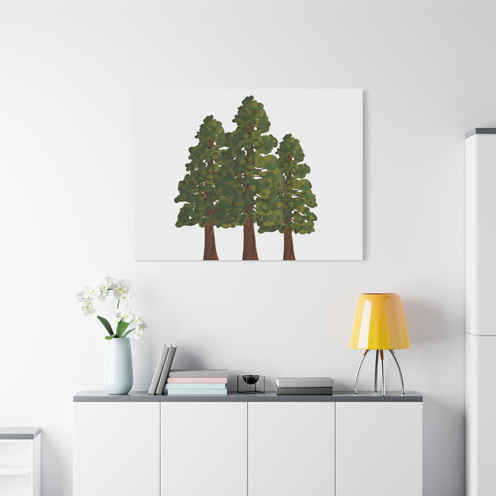 Coastal Redwoods Matte Canvas Print On 1.25 Inch Stretched Canvas For Serene Forest Wall Art In Living Rooms
