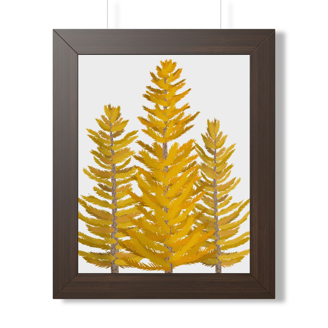 Western Larch Framed Print – Wall Art
