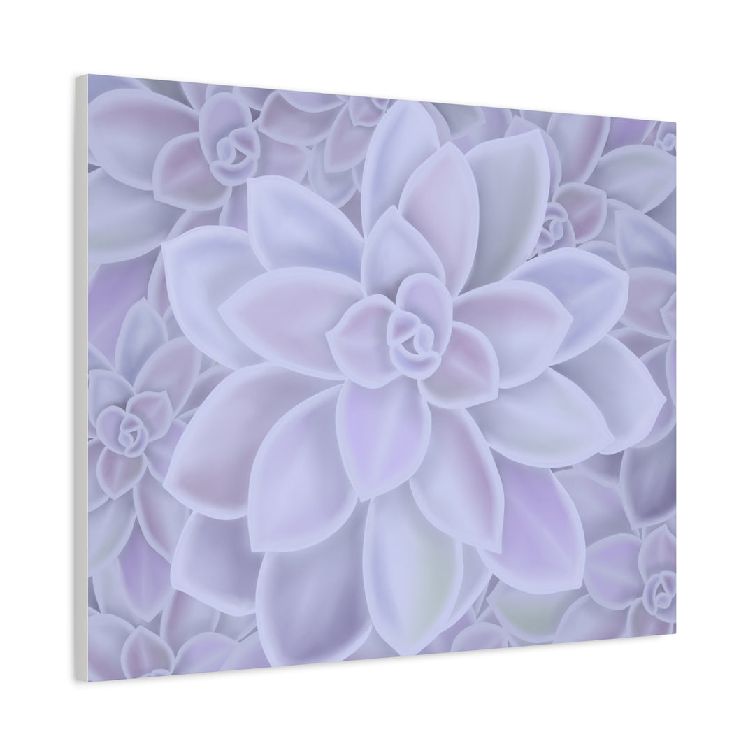 Graptopetalum Murasaki Succulent Canvas Art Print Pastel Purple Rosette Indoor Plant Decor