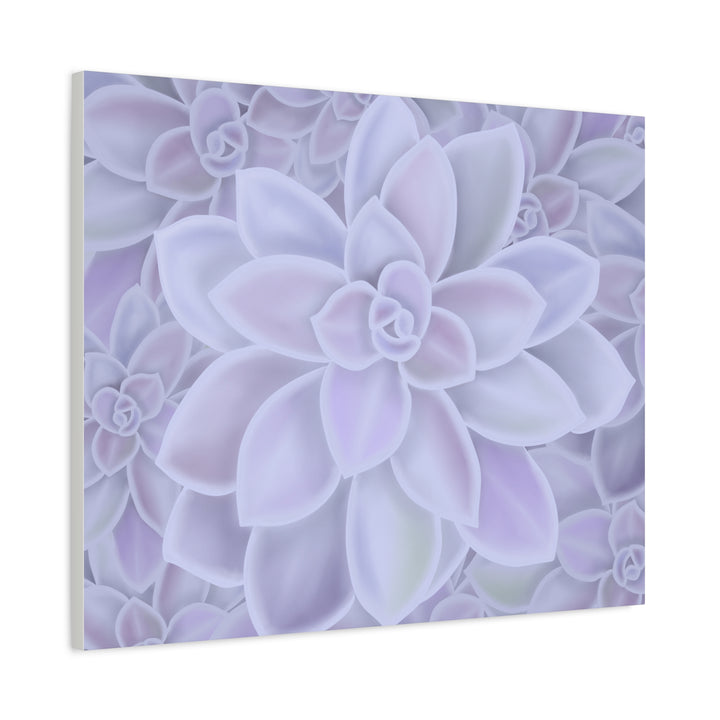 Graptopetalum Murasaki Succulent Canvas Art Print Pastel Purple Rosette Indoor Plant Decor