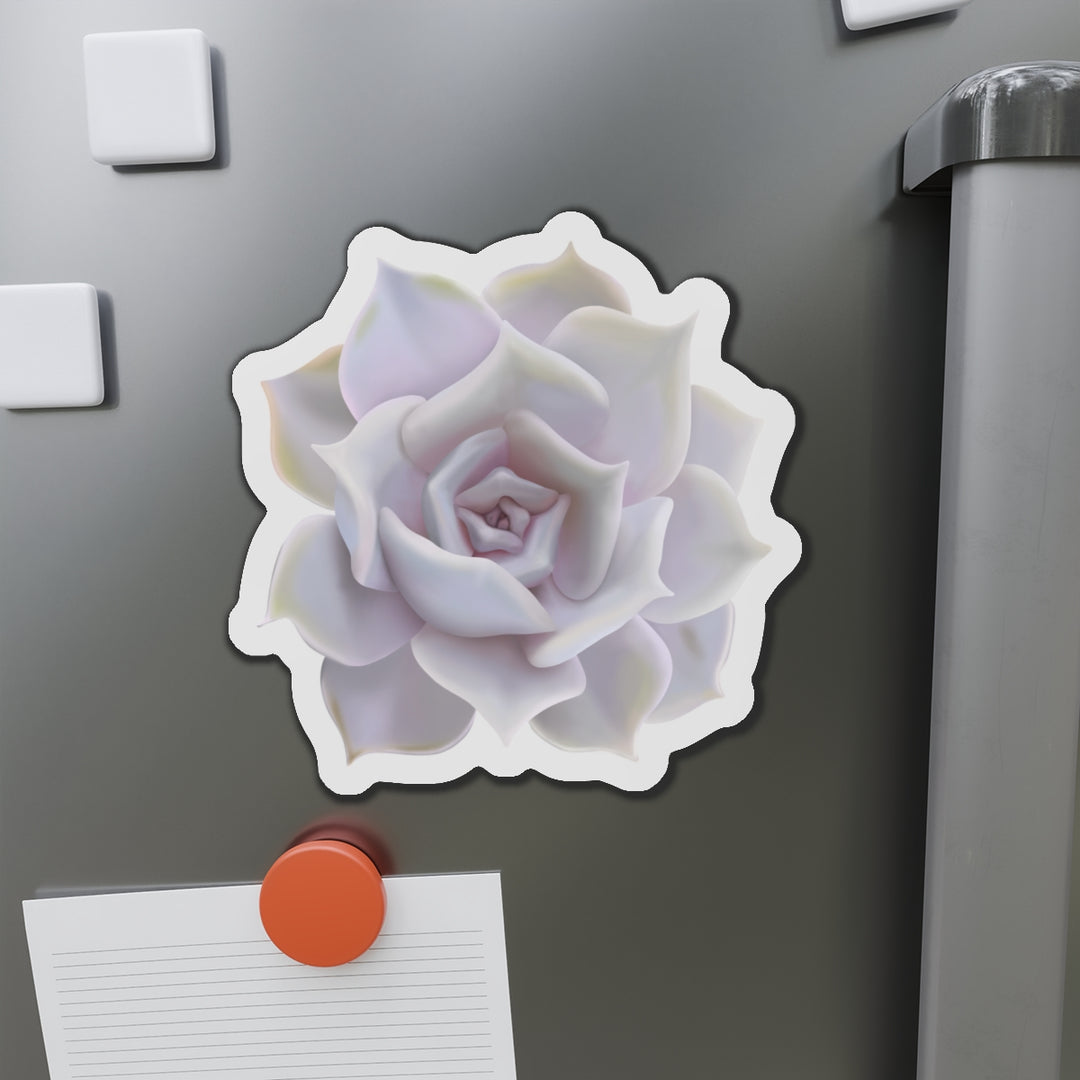 Echeveria Lilacina Succulent Magnet