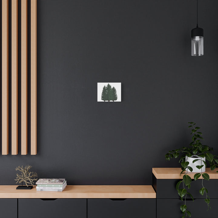 Douglas Fir Canvas Print – Wall Art
