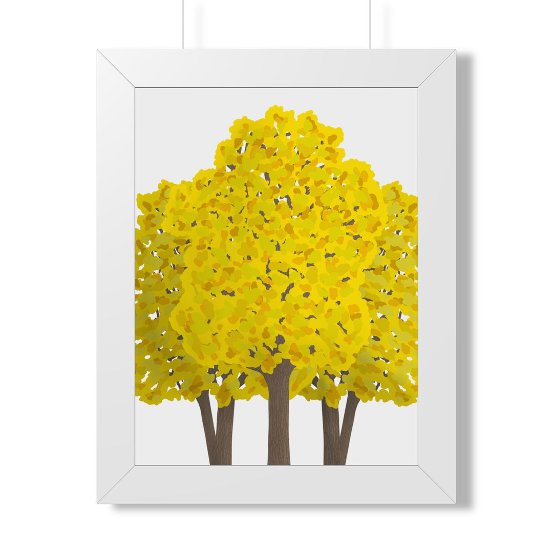 Big Leaf Maple Framed Print – Wall Art