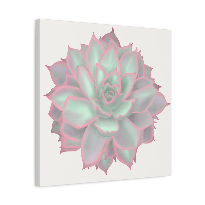 Echeveria Violet Queen Canvas Wall Art Rosette Succulent Print With Matte Finish