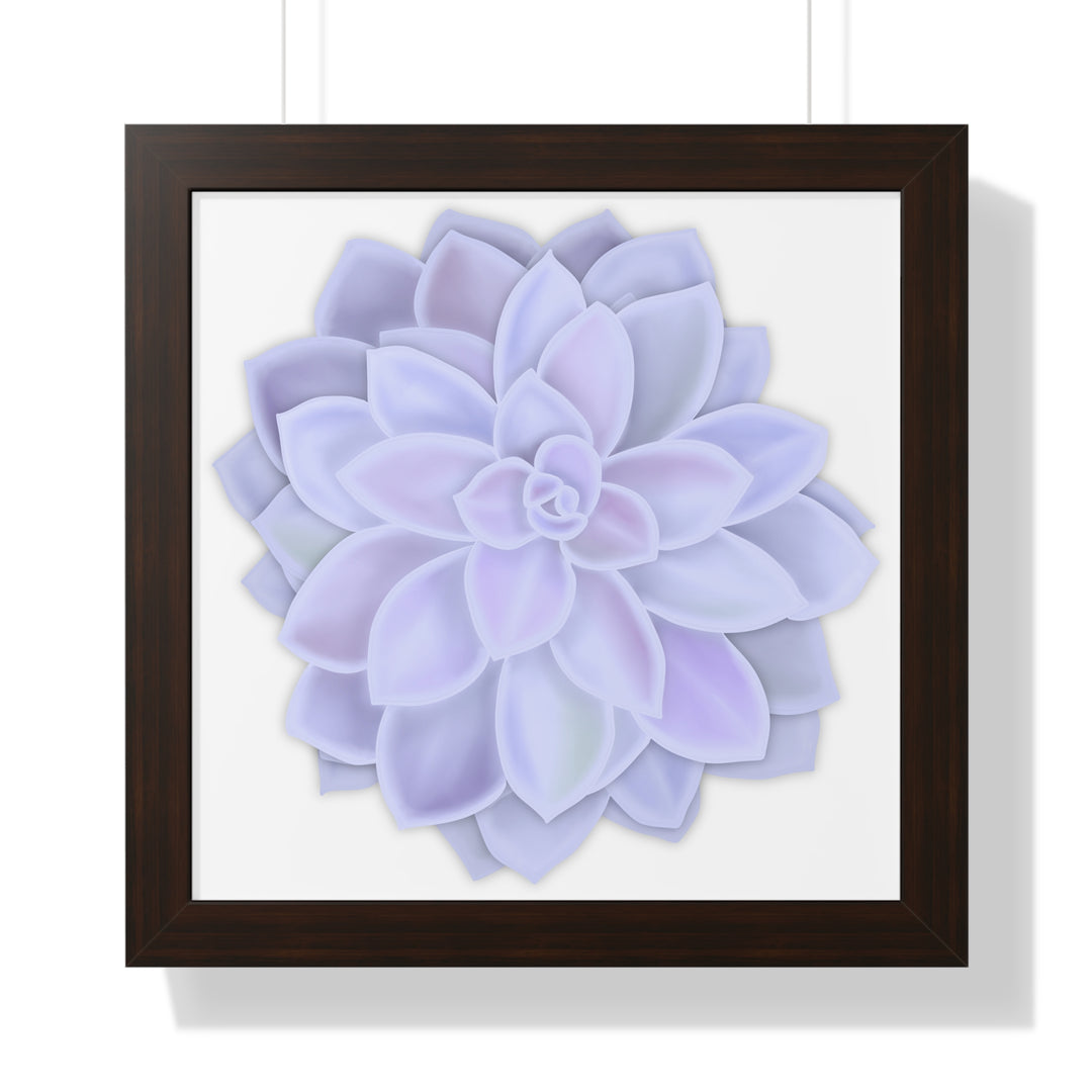 Graptopetalum Murasaki Succulent Framed Print – Botanical Wall Art - The Potted Pixel