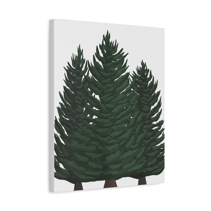Douglas Fir Canvas Print – Wall Art