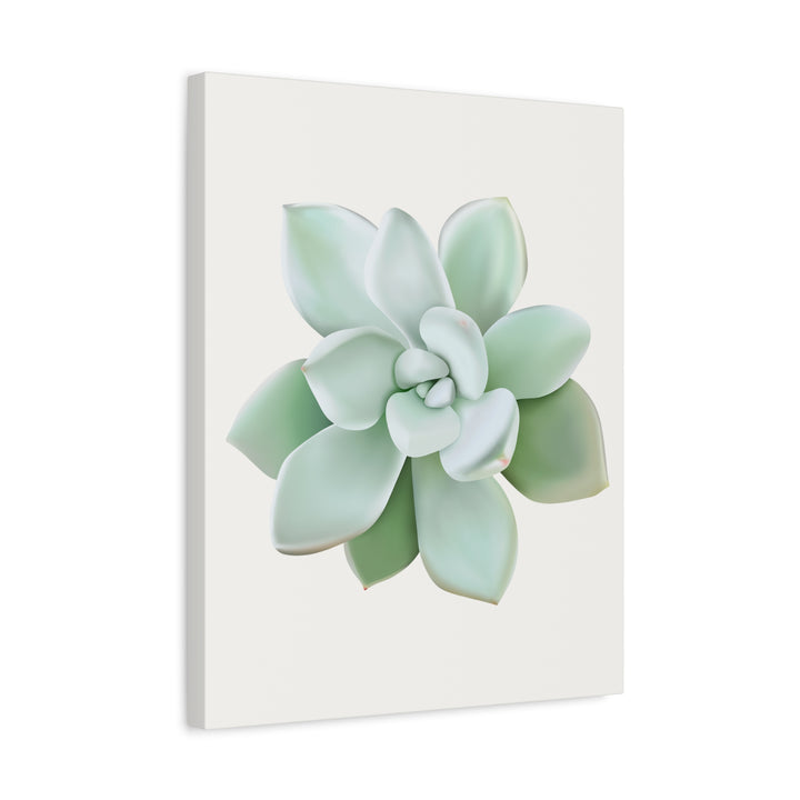 Succulent Canvas Art Pachyveria Haagei Print On Matte Finish Canvas Botanical Wall Decor