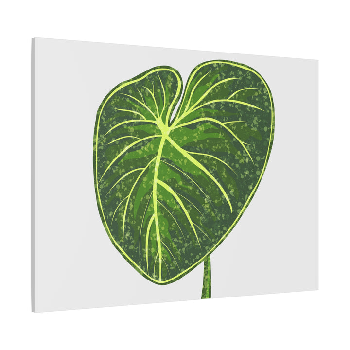 Philodendron Gloriosum Canvas Print Stretched Wall Art Botanical Leaf Print Matte Finish Gallery Wrapped Canvas