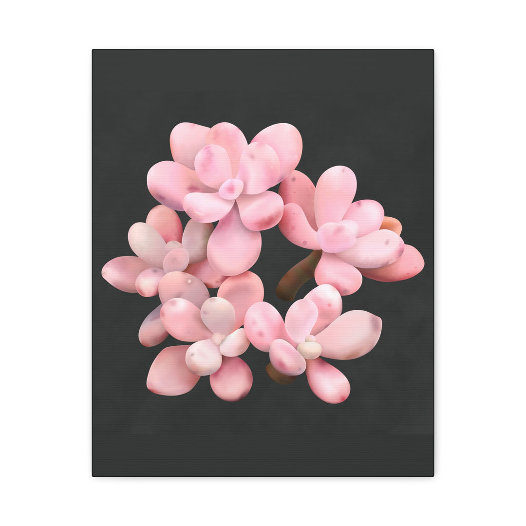 Pink Moonstone Canvas Print – Botanical Wall Art