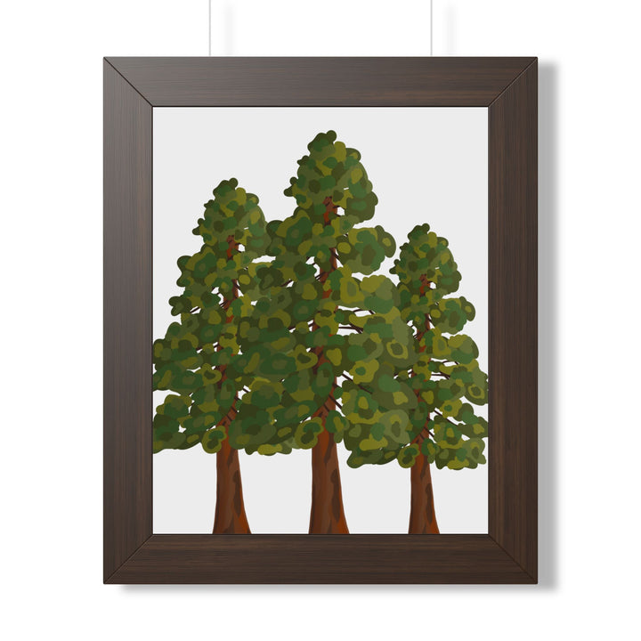 Coastal Redwood Framed Print – Wall Art