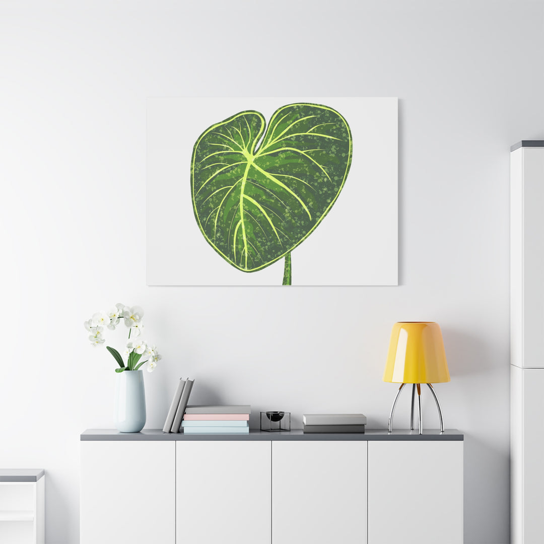 Philodendron Gloriosum Canvas Print Stretched Wall Art Botanical Leaf Print Matte Finish Gallery Wrapped Canvas