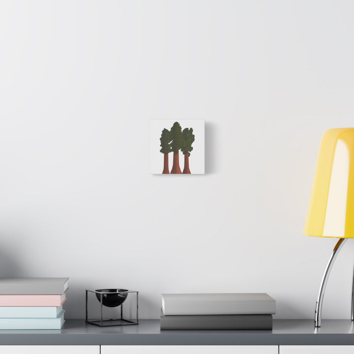Giant Sequoias Canvas Print – Wall Art