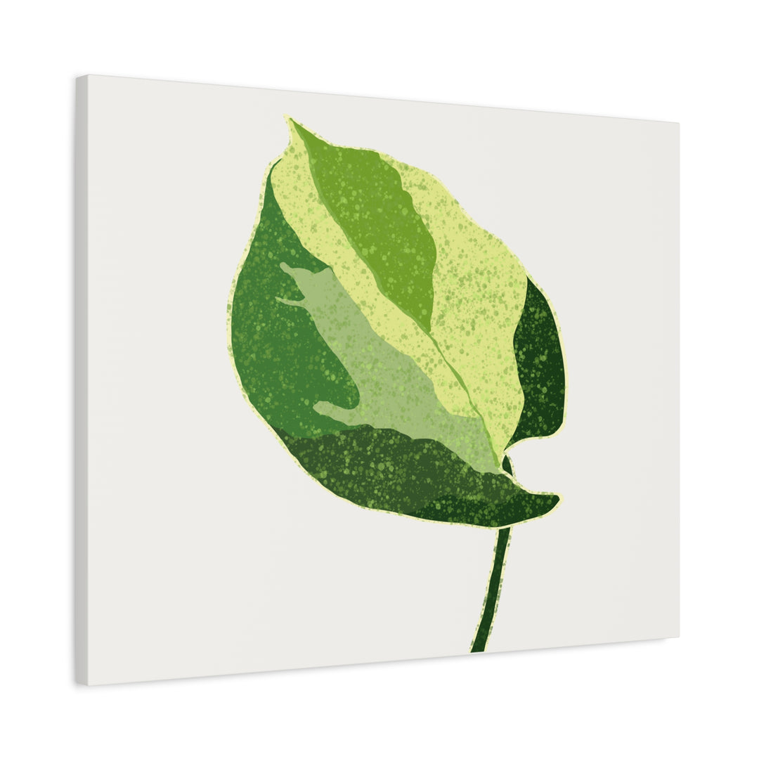 Manjula Pothos Botanical Canvas Print Matte Finish Stretched Canvas Wall Art 1.25 Inch Depth