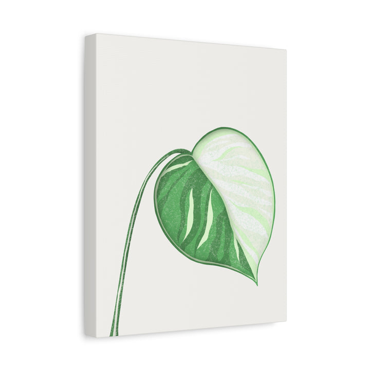 Monstera Albo Canvas Large Stretched Premium Quality Cotton Canvas Wall Art Tropical Leaf Poster Decor