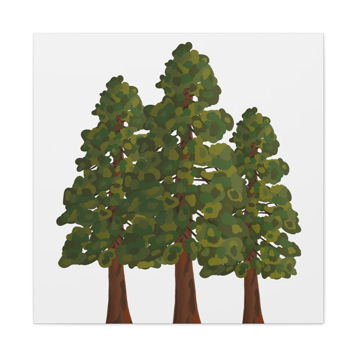 Coastal Redwoods Matte Canvas Print On 1.25 Inch Stretched Canvas For Serene Forest Wall Art In Living Rooms