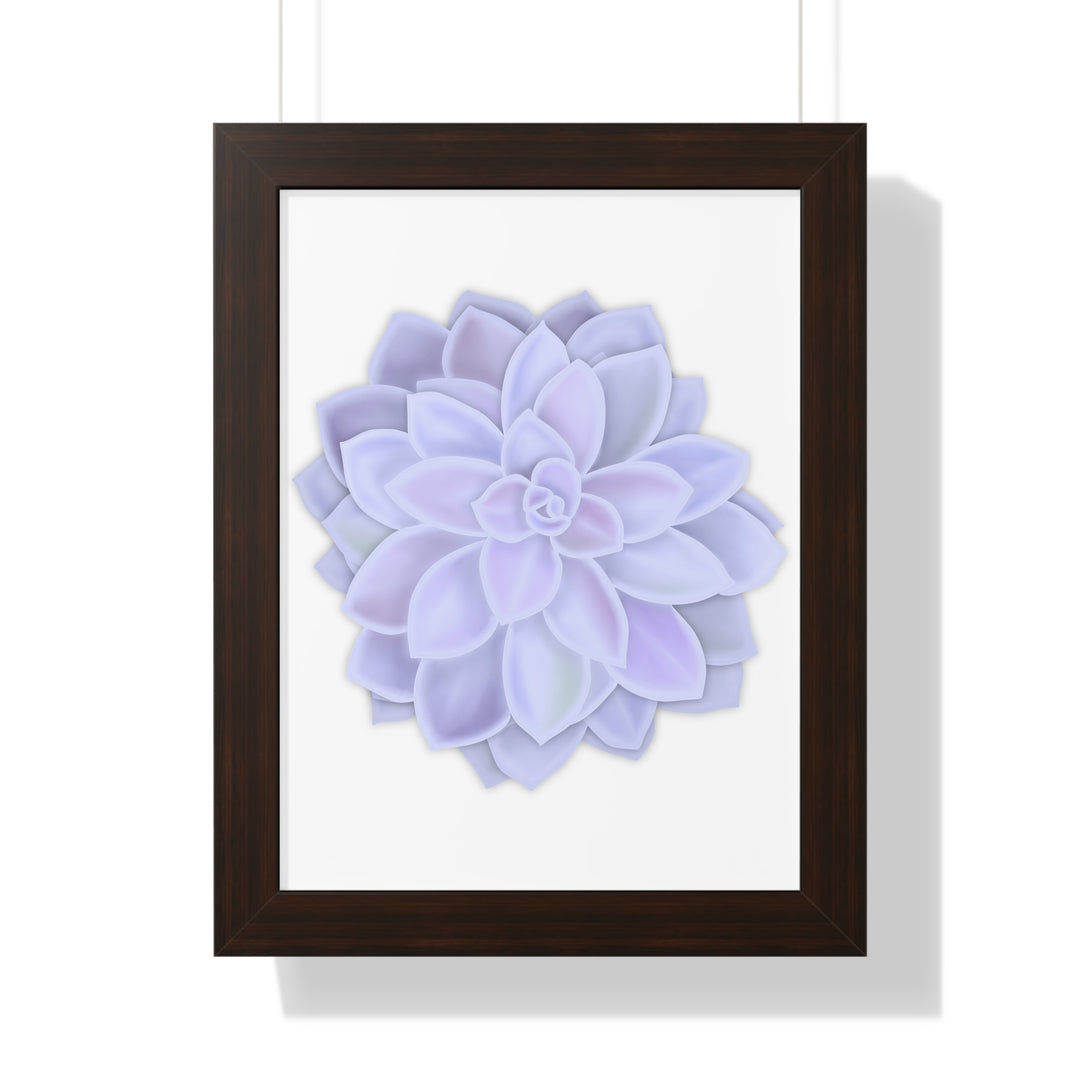 Graptopetalum Murasaki Succulent Framed Print – Botanical Wall Art - The Potted Pixel