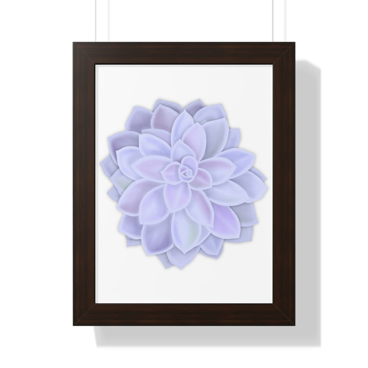 Graptopetalum Murasaki Succulent Framed Print – Botanical Wall Art - The Potted Pixel