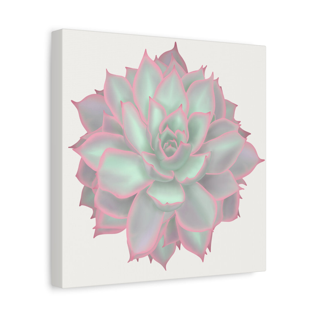 Echeveria Violet Queen Canvas Wall Art Rosette Succulent Print With Matte Finish