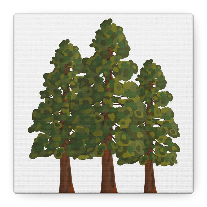 Coastal Redwoods Matte Canvas Print On 1.25 Inch Stretched Canvas For Serene Forest Wall Art In Living Rooms