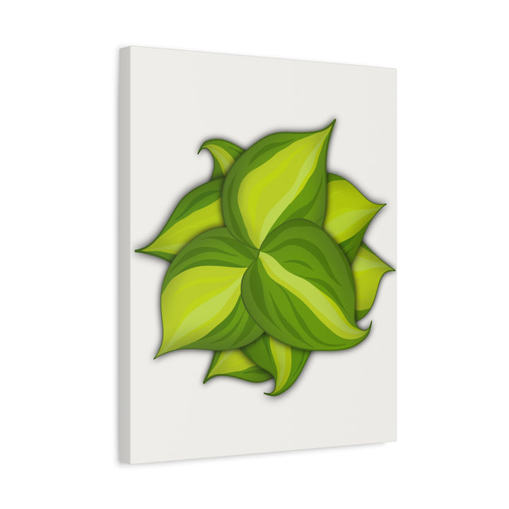 Philodendron Brasil Canvas Print Matte Stretched Canvas Indoor Plant Art For Modern Greenery Decor