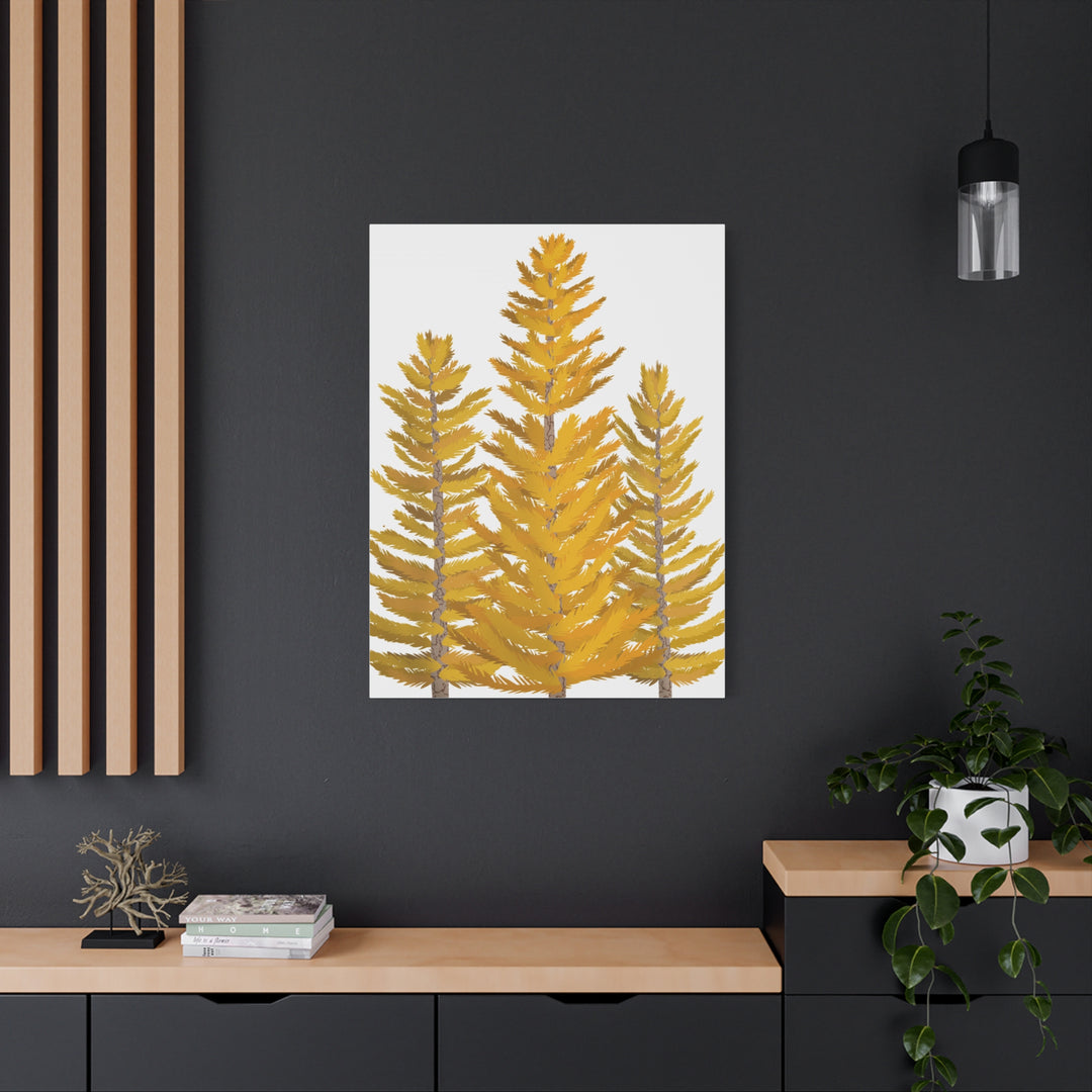 Western Larch Canvas Print – Wall Art