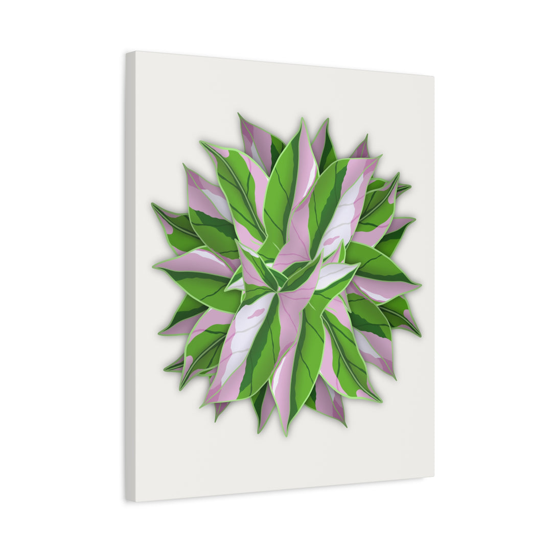 Syngonium Tricolor Canvas Print – Botanical Wall Art - The Potted Pixel