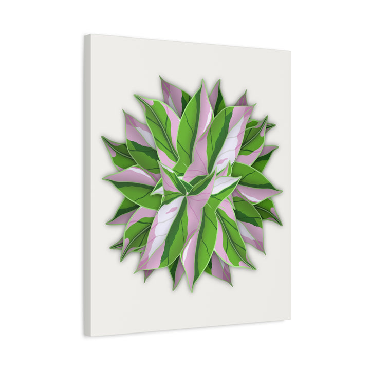 Syngonium Tricolor Canvas Print – Botanical Wall Art - The Potted Pixel